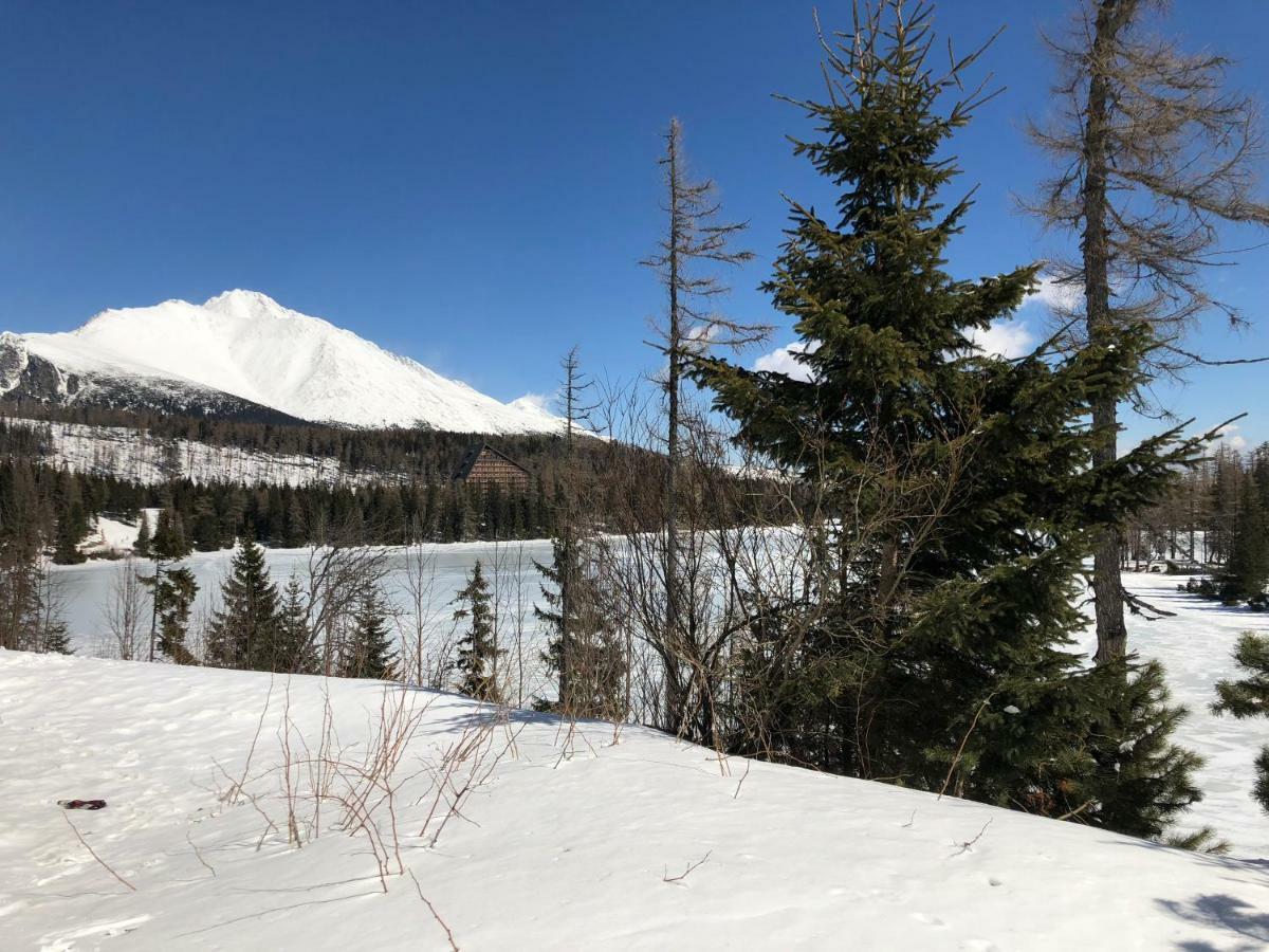 Vila Horec, Vysne Hagy Vysoké Tatry Exterior foto