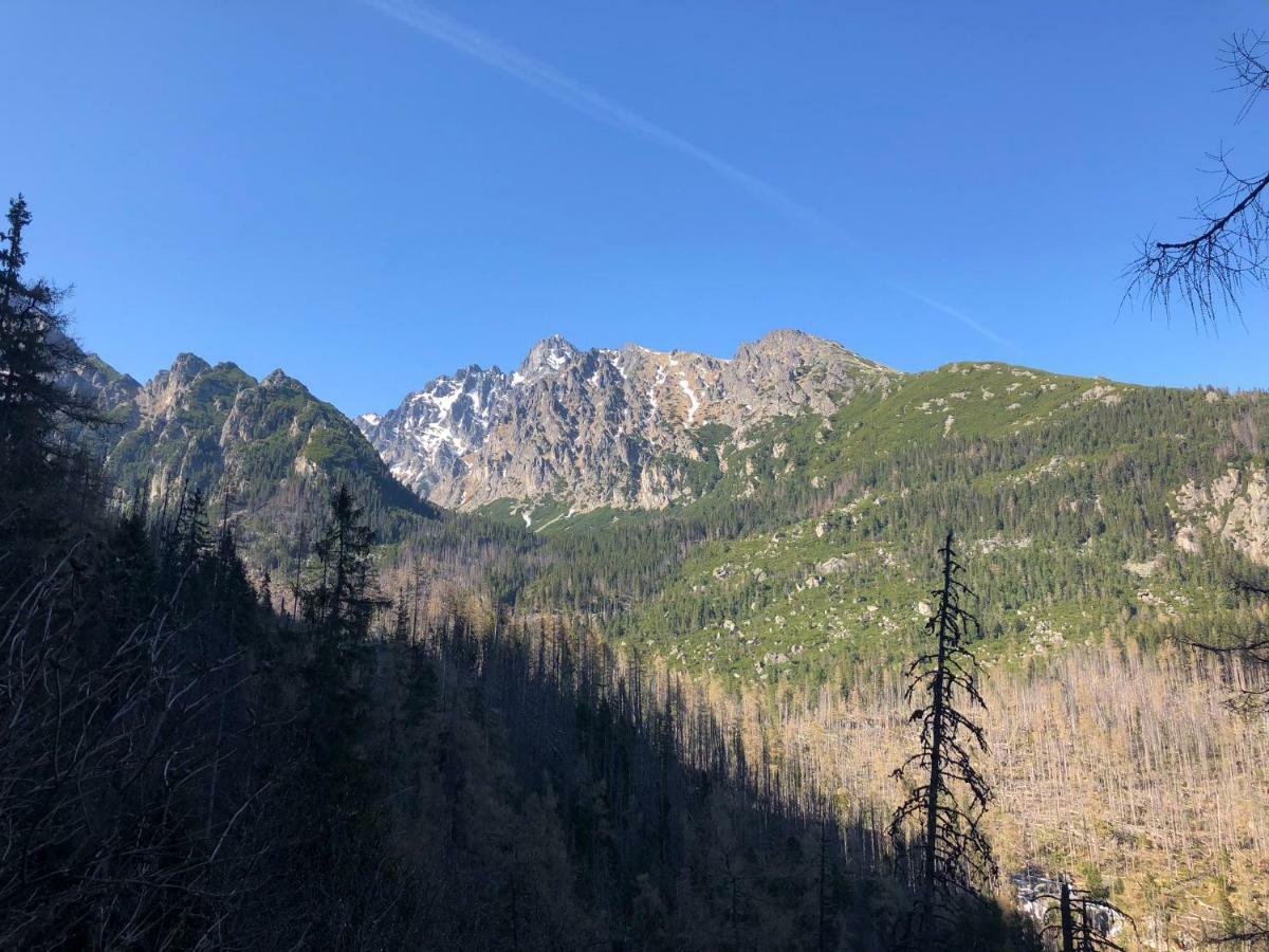 Vila Horec, Vysne Hagy Vysoké Tatry Exterior foto
